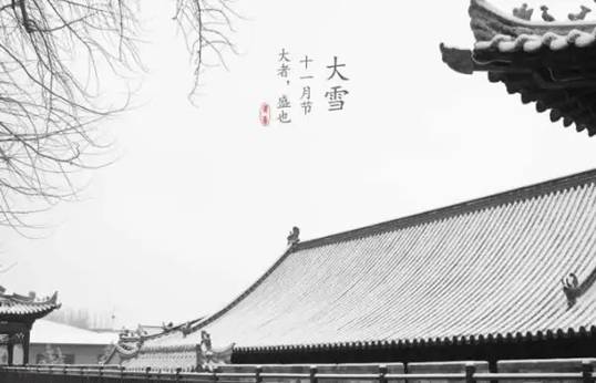 今日大雪|冬意漸濃，大雪已至，萬物冬藏待春來