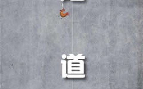 《隧道》作者：迪倫馬特